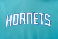 ست گرمکن هودی شارلوت هورنتس