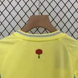 لباس بچه گانه اسپانیا یورو 2024 کیت دوم