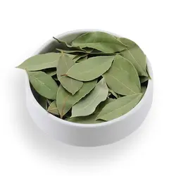 برگ بو