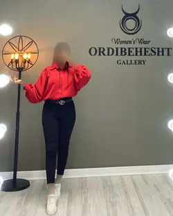 شومیز پلیسه - کد 1413