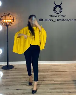 شومیز بغل بلند - کد 895