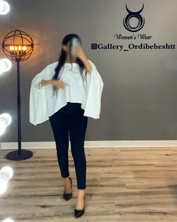شومیز بغل بلند - کد 895