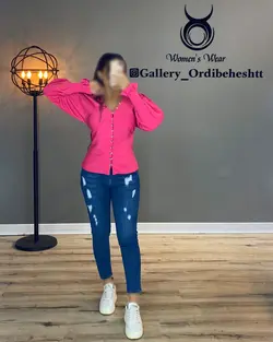 شومیز آستین پف _ کد 830