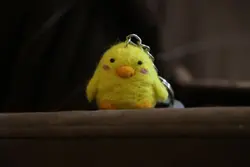 جاکلیدی کچه جوجه