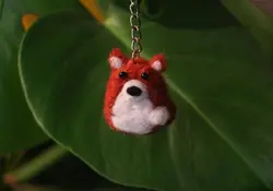 جاکلیدی کچه روباه