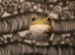 جاکلیدی کچه قورباغه