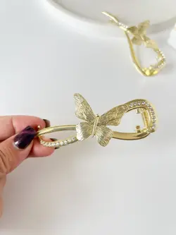 کلیپس چفتی پروانه minimal