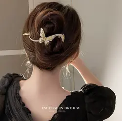 کلیپس چفتی پروانه minimal