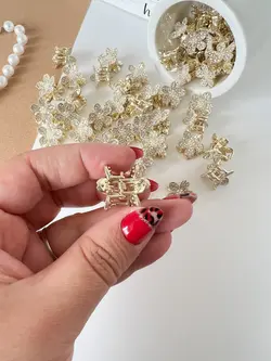 مینی کلیپس گل نگینی