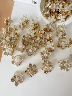 مینی کلیپس گل نگینی