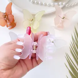 کلیپس پروانه شمعی یخی