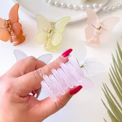 کلیپس پروانه شمعی یخی