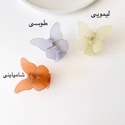 کلیپس پروانه شمعی یخی