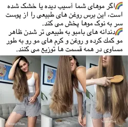 برس چوبی Cecilia bamboo Hairbrushe