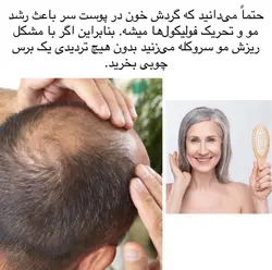 برس چوبی Cecilia bamboo Hairbrushe