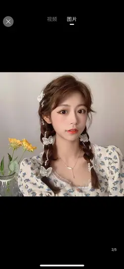 گیره انبری پروانه پارچه ای