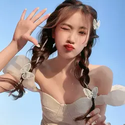 گیره انبری پروانه پارچه ای