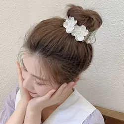 کلیپس انبری اکرولیک کریستالی مجلسیVIP1