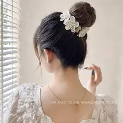 کلیپس انبری اکرولیک کریستالی مجلسیVIP1