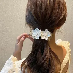 کلیپس انبری اکرولیک کریستالی مجلسیVIP1