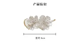 کلیپس انبری اکرولیک کریستالی مجلسیVIP1