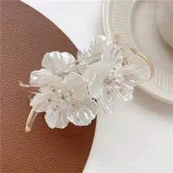 کلیپس انبری اکرولیک کریستالی مجلسیVIP1