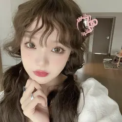 مینی کلیپس فلزی فانتزی (تدی)