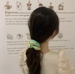 کش اسکرانچی فانتزی (Fruit)SK002