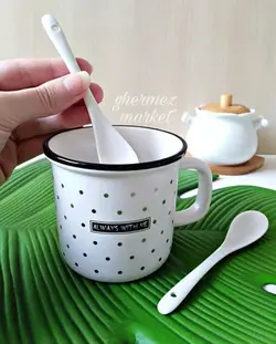قاشق ادویه سرامیکی