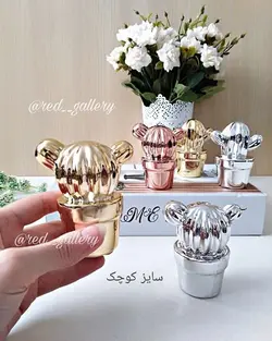 مجسمه کاکتوس دکوری