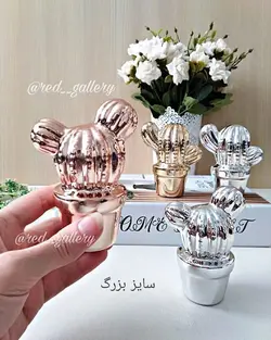 مجسمه کاکتوس دکوری
