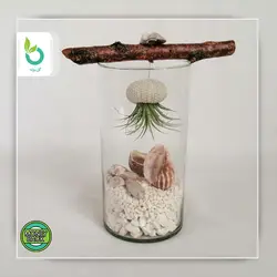 تراریوم هوازی