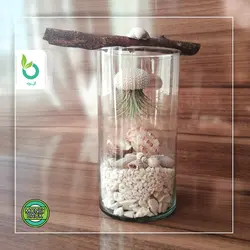 تراریوم هوازی