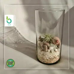 تراریوم هوازی