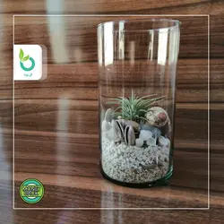 تراریوم هوازی