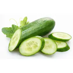 خیار درختی