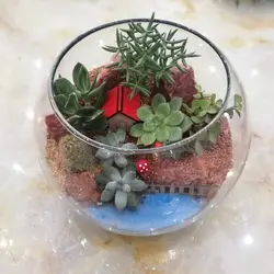 تراریوم با گل های کاکتوس و ساکولنت