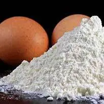 خرید پودر سفیده تخم مرغ ایرانی با 75درصد پروتئین زود جذب و با کیفیت