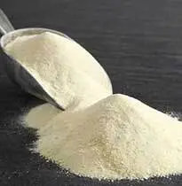 پودر آب پنیر و خواص آن در بدنسازی و سلامت - قیمت و خرید پودر آب پنیر - گیاه سبز