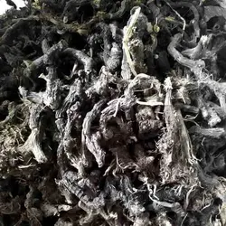 %%title%% %%page%% چیست؟%%sep%% خرید گیاه سعد هندی از %%sitename%%