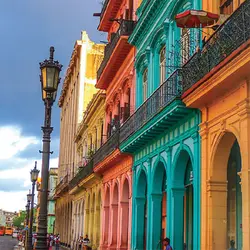 تنباکو ۵۰ گرمی هاوانا Havana - هدف بازار