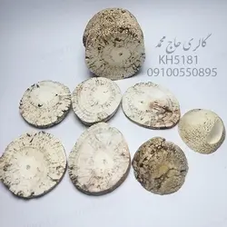 انگشتر خرمهره اصلی |خرید انگشتر خرمهره اصلی رگه دار | گالری حاج محمد