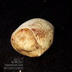 خرید خرمهره اصل | خرید خرمهره اصلی طبیعی با ضمانت گالری حاج محمد