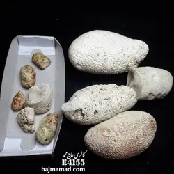 خر مهره - گالری حاج محمد