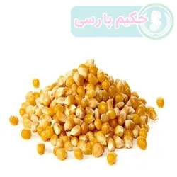 ذرت آمریکایی