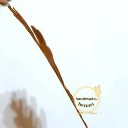 برگ‌ پاییزی بلوط