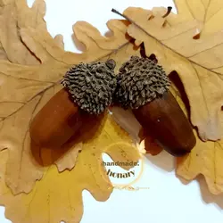 برگ‌ پاییزی بلوط