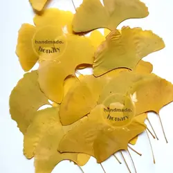 برگ ژینکو زرد