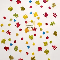 برگ‌های رنگارنگ پاییزی