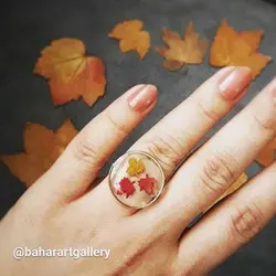 برگ مینیاتوری پاییزی